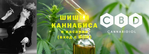 индика Навашино