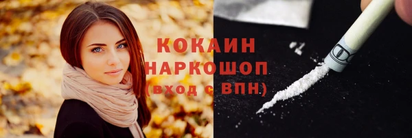 индика Навашино