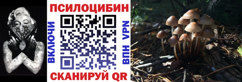 Псилоцибиновые грибы MAGIC MUSHROOMS  купить наркоту  Воронеж 