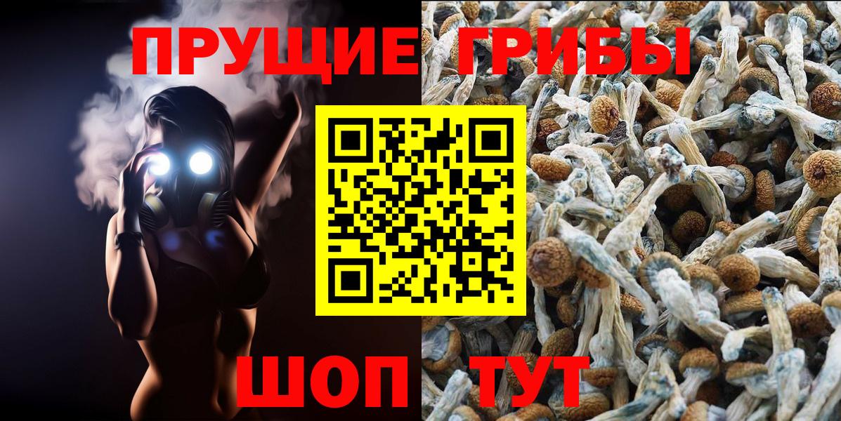 наркота  Вход с VPN  Воронеж  Псилоцибиновые грибы Psilocybe 