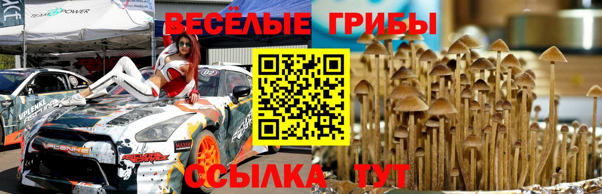Псилоцибиновые грибы Magic Shrooms Воронеж