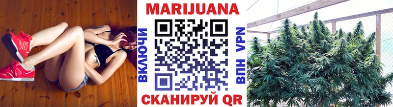 Бошки марихуана индика  Воронеж 
